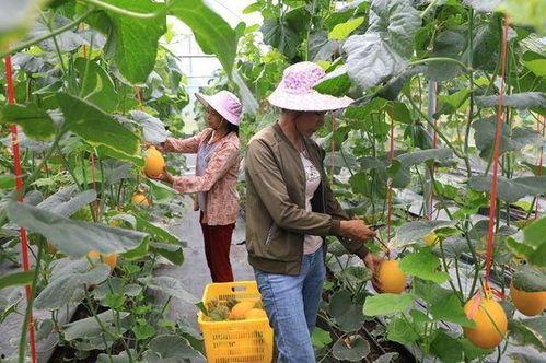 在景区吃瓜的网红,美食美景两不误