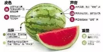 湘潭网红吃瓜群微信